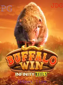 Descubra o Fascinante Mundo de BuffaloWin e o Impacto do 385bet link